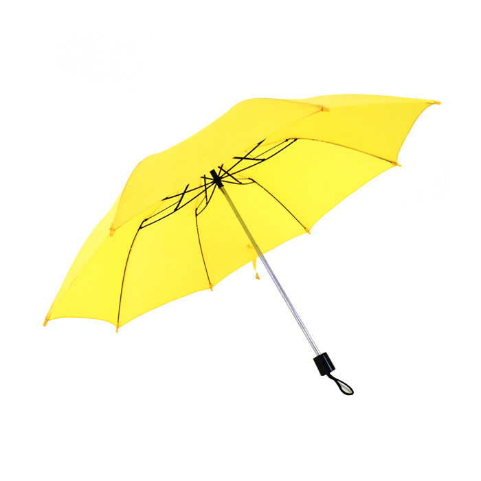 Two fold umbrella